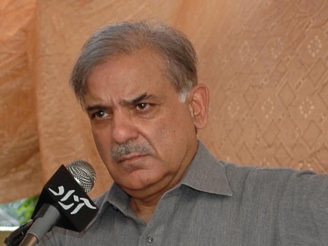 Shehbaz Sharif PMLN President Biography NAB Cases Infostarr