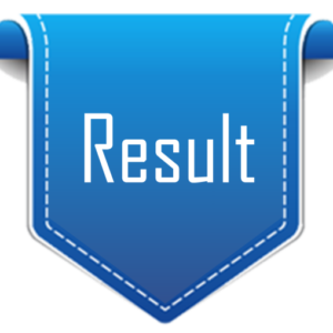2018 Election Results