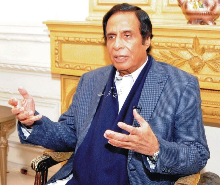 Chaudhry Pervaiz Elahi Biography