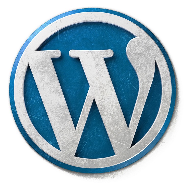 WordPress Lesson 1 ( Beginners Guide )