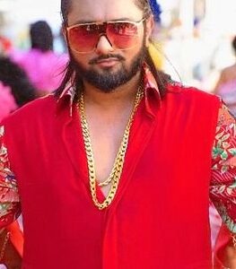 Yo Yo Honey Singh bio