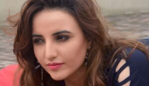 Hareem shah Biography