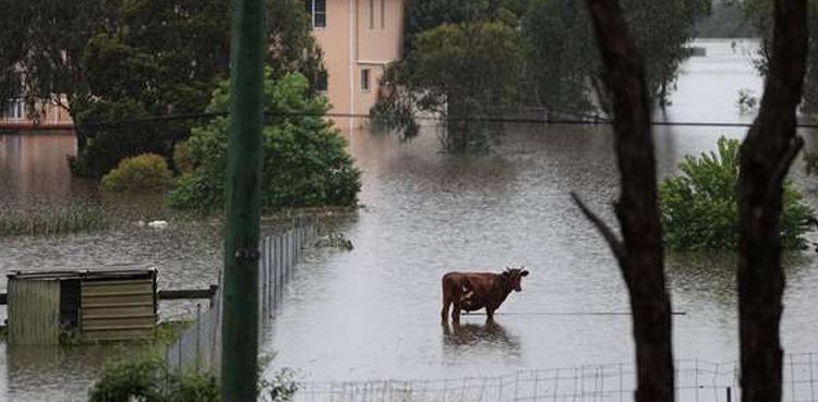 Hundreds rescued after flooding in Australia