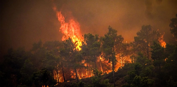 Nepal battles raging wildfires across the country