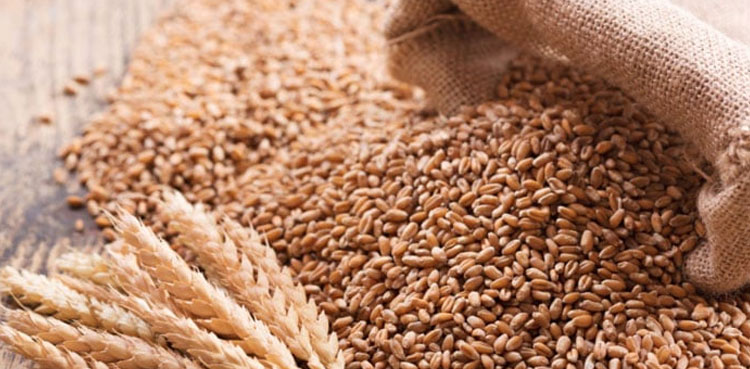 PM Shehbaz forms committee to probe wheat import scandal