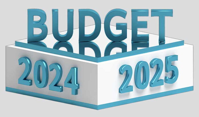 Punjab Budget 2024-25